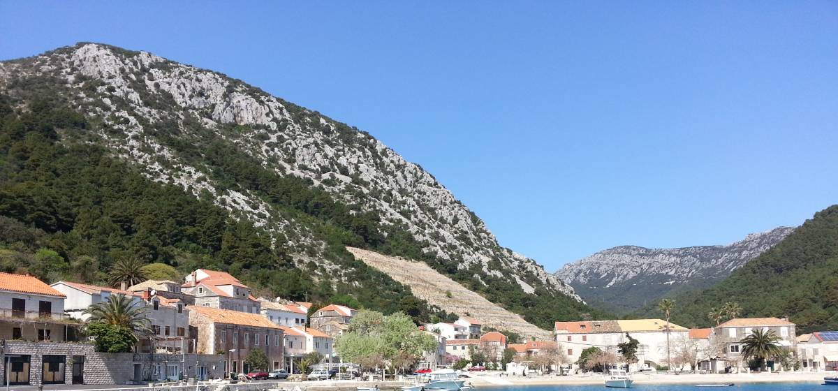 Trstenik