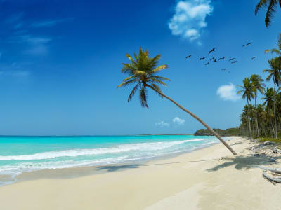 Bahamas
