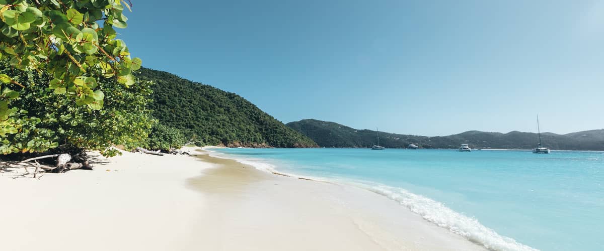 BVI